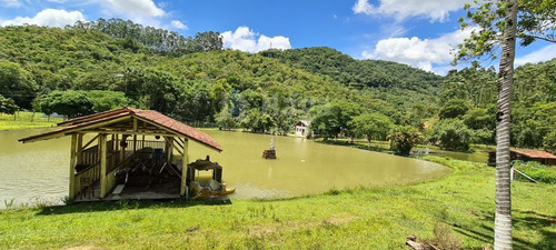 Sítio A Venda Em Brusque/sc - 1754c