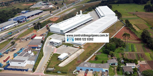 Imagem 1 de 9 de Galpão Para Locação Em Goiânia - 4636goi_2-1039968