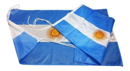 Bandera Argentina 60x90. Dinos