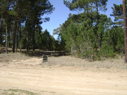 Lotes Continuos Zona Álamos Ii- Cul De Sac De Sotavento
