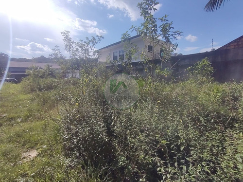 Imagem 8 de 15 de Terreno A Venda No Bairro Ponta Negra, Manaus Am - Te00061 - 69918347