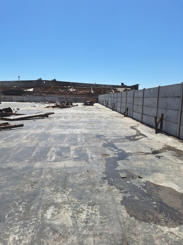 Cierre Y Reparación De Pandereta Bull Dog