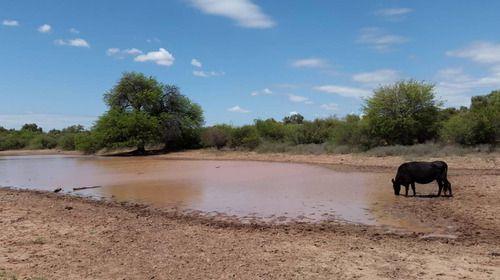 Imagen 2 de 6 de Casa Campo En Venta Ubicado En Chamical, La Rioja