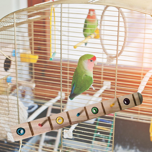 Pájaros Loro Masticar Juguetes Loro Jaula Suministros