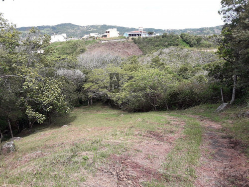 Terreno Para Venda Em Ferraz Garopaba-sc - Tv246