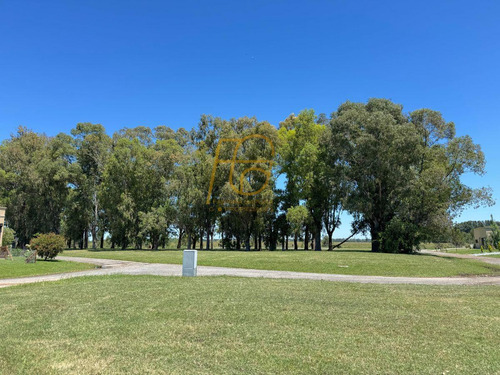 Venta Lote Horizontes Al Sur Canning