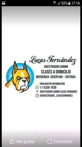 Adiestrador Canino Zona Sur