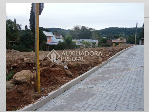 Imagem 3 de 4 de Terreno - Centro - Ref: 269003 - V-269003
