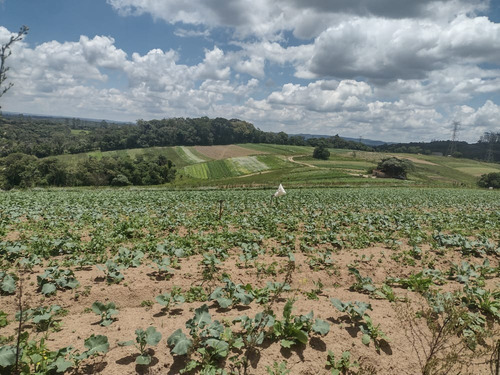 Imagem 21 de 23 de 03o-preços De Terreno Que Vai Caber No Seu Bolso