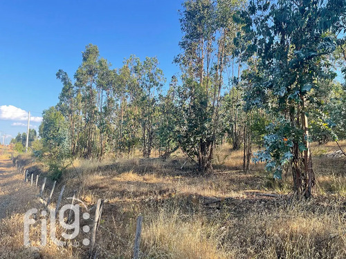 Venta De Terreno En San Nicolás Naturaleza Y Tranquilidad