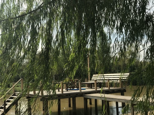 Imagen 7 de 14 de Cabañas Delta Tigre Canal Privado Rio Sarmiento