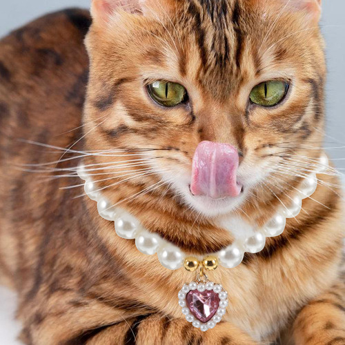 Coleira Bead Dog: Colar De Pérolas Para Cães E Gatos -