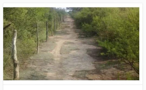 Imagen 11 de 19 de Campo - El Chacho