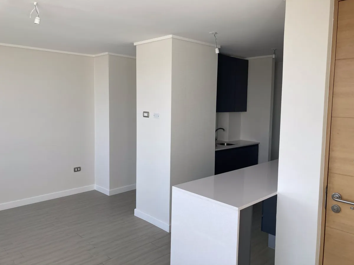Imagen 3 de 16 de Departamento En Arriendo De 1 Dorm. En Santiago