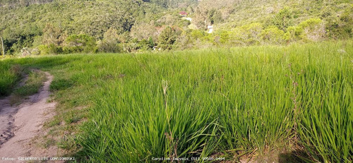 Imagem 13 de 15 de Área Rural Para Venda Em Mariana Pimentel, Linha Do Registro - 1245_1-1842627