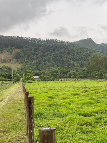 Imagem 13 de 14 de S12- Terrenos Excelentes Para Chácaras,1000m Plaino