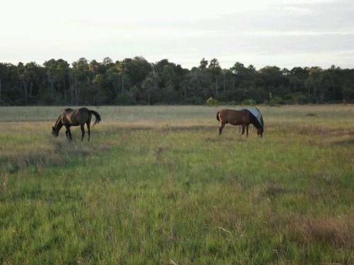 Imagen 3 de 24 de Finca De 9.080 Ha Guarico Con Pista Aterrizaje Autorizada