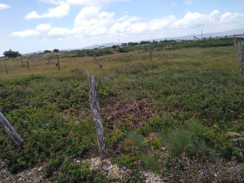 Imagen 2 de 8 de Terreno En Venta San Vicente Buena Vista