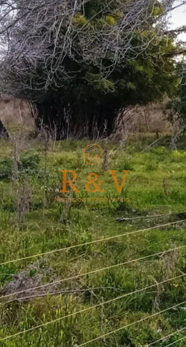 Oportunidad Chacra De 3 Ha En Venta En San Bautista