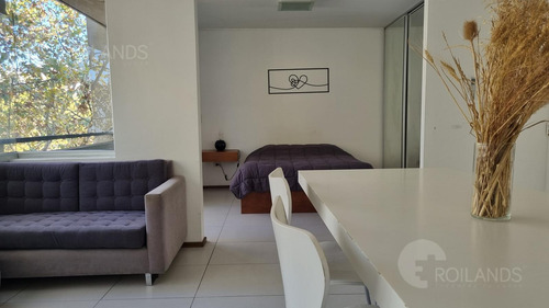 Alquiler Temporal Departamento Monoambiente Con Pileta En Palermo