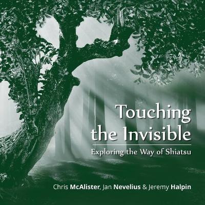 Libro Touching The Invisible : Exploring The Way Of Shiat...