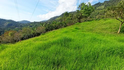 Deja Que El Campo Trabaje Para Ti : Finca En Quipile