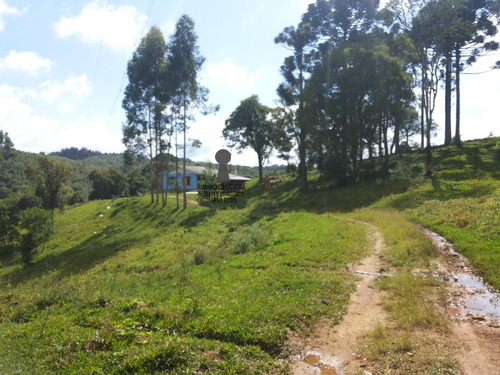 Chácara A Venda No Bairro Centro Em Bocaiúva Do Sul - Pr. - 371-1