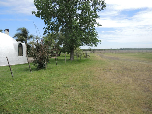 Campo En Venta, Villaguay, Entre Ríos