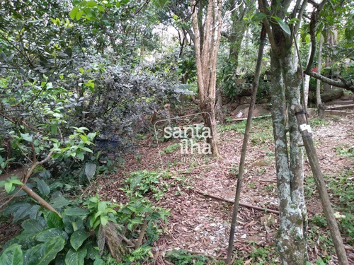 Imagem 19 de 30 de Ótima Propriedade No Ribeirão Da Ilha - Ca3222