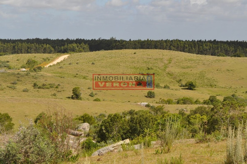Imagen 13 de 30 de Venta Campo Ubicado En Garzón