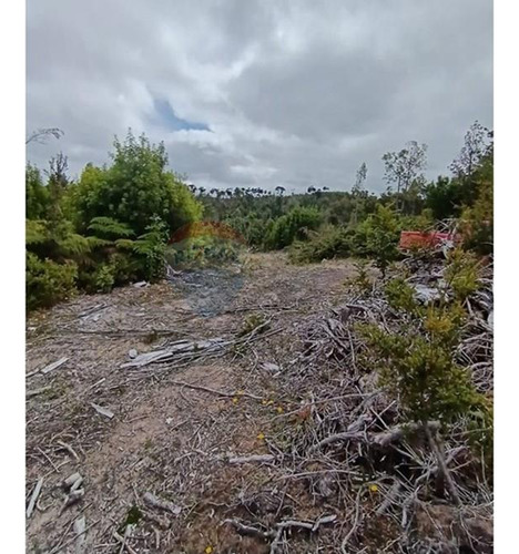 Parcela Con Acceso A Río Y Rol Propio