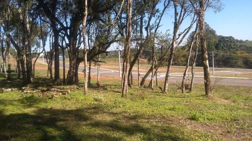 Imagem 7 de 15 de Terreno Para Venda Em Campina Grande Do Sul, Novo Daher - 00283b8_2-1195590