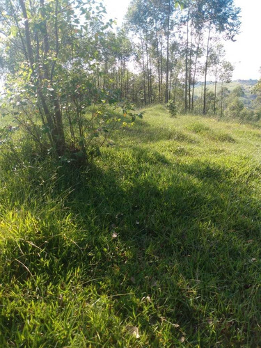 Imagem 7 de 14 de A20- Venha Realizar Seu Sonho Em Jacareí Prox Ao Centro !!!!