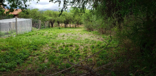 Imagen 6 de 10 de Lote Para Animarse Al Gran Cambio!!! 550 Mt2 Servicios