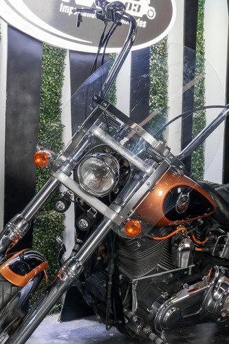 Harley-davidson Fxdwg Dyna Wide Glide (anniv) 2008