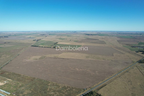 Imagen 2 de 27 de Terreno Campo En Venta En Carmen De Areco, Resto De La Provincia, Buenos Aires