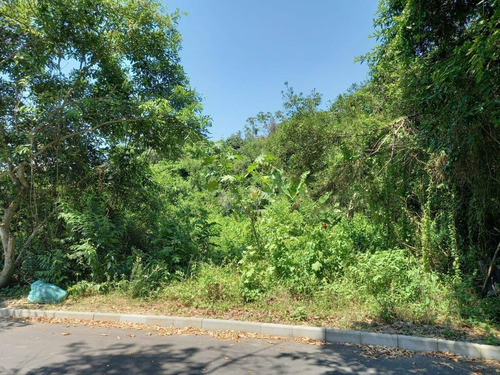 Imagem 4 de 6 de Terreno À Venda, 375 M² Por R$ 95.000,00 - Jacaroá - Maricá/rj - Te4933