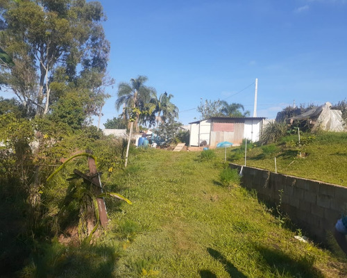 Imagem 4 de 6 de Terreno - Te01106 - 69662927