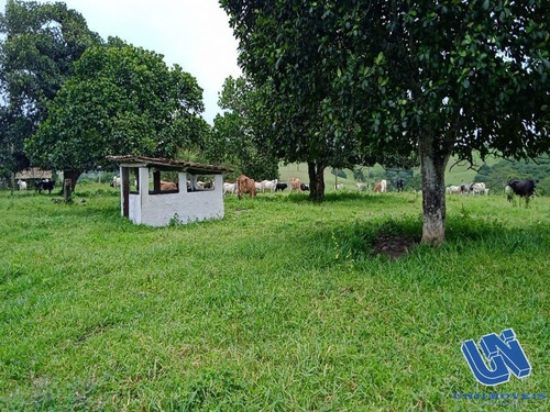 Imagem 4 de 9 de Fazenda Com 92 Tarefas Em São Gonçalo Dos Campos - Bahia - Afd028 - 70496087