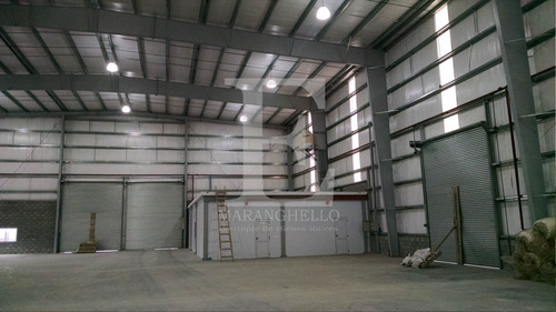 Imagen 6 de 11 de Venta C/renta Nave Industrial Triple A - Polo Ezeiza