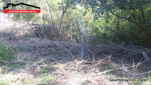 Chácara Em Pinhalzinho Com 4.000 M² De Terreno. - 85