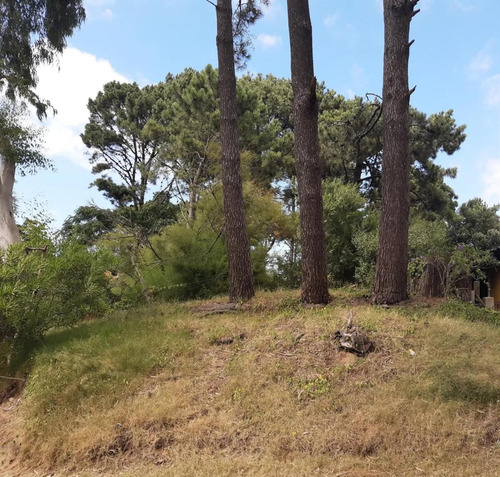 Terreno En Venta - 584mts2 - Ostende