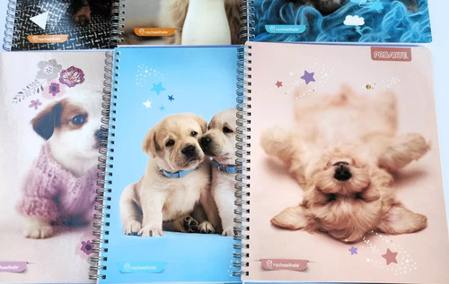 Pack 5 Cuadernos Universitarios Animales Adorables Proarte Color Blanco