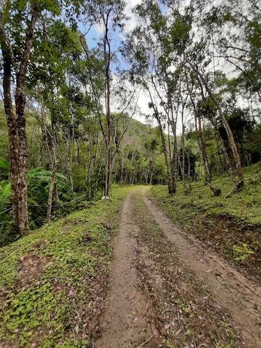 Imagem 1 de 18 de Fazenda Em Condomínio Paraíso, São Luiz Do Paraitinga/sp De 36m² 3 Quartos À Venda Por R$ 350.000,00 - Fa1527034-s