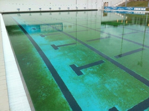 Imagen 3 de 10 de Alguicida Líquido Para Pileta Nataclor 1 Lt Ogus