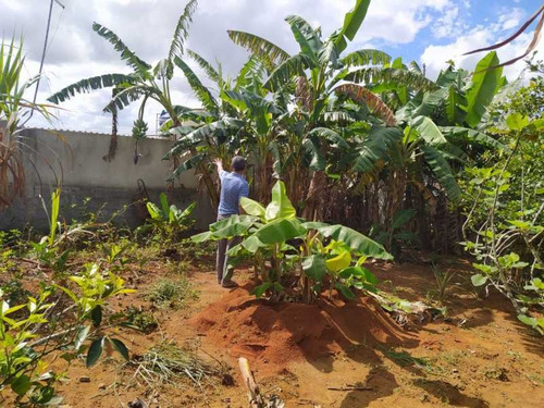 Imagem 3 de 15 de Terreno Parque São Martinho - Bitr00033