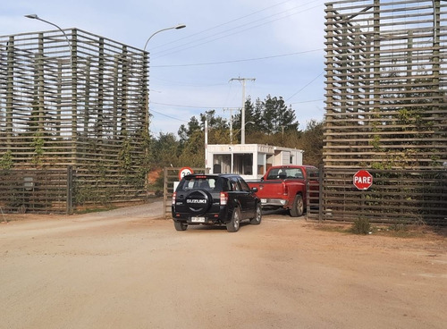 5 Mts 2. Pinares Norte Algarrobo