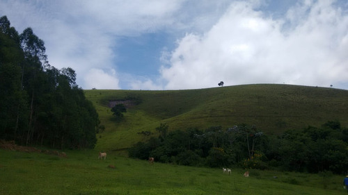Imagem 3 de 14 de Fazenda Pecuaria Com Cachoeira Fundos Represa Igarata- 4180
