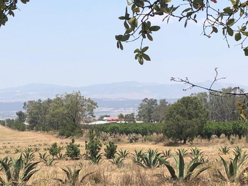 Imagen 12 de 12 de Terreno En Venta San Pablo Ojo De Agua