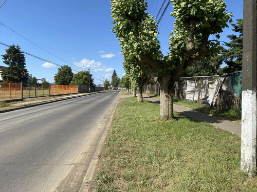 Amplio Terreno En Zona Comercial De Lautaro